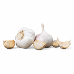 Knoblauch