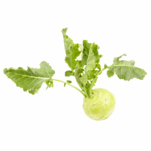 Kohlrabi