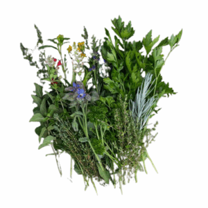 Krauterbund gemischt Bund