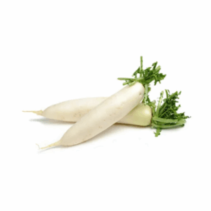 Rettich