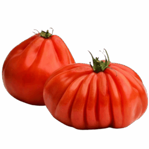 Tomaten, Ochsenherz